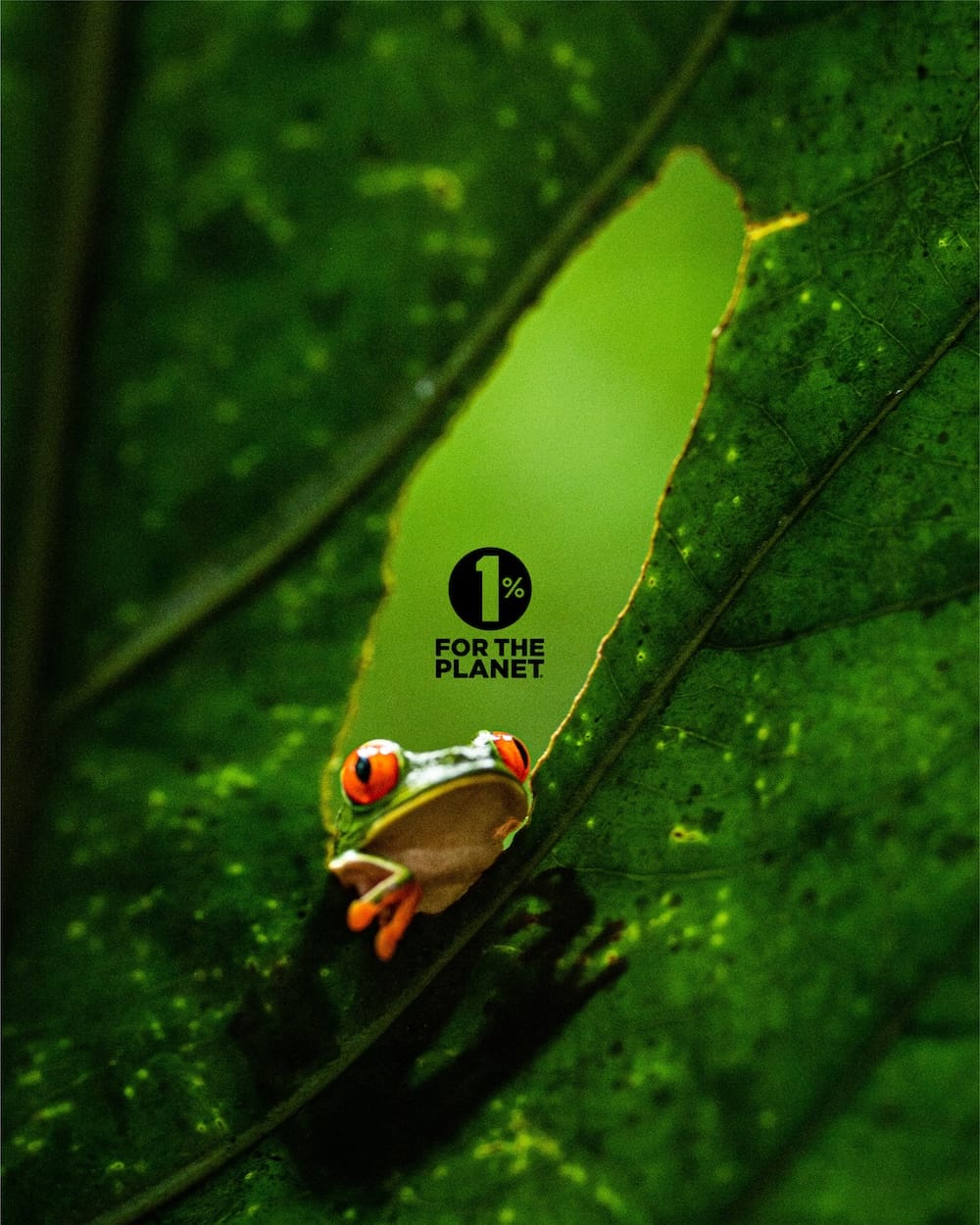 Giving 1% for the Planet: why environmental consulting should include tangible giving